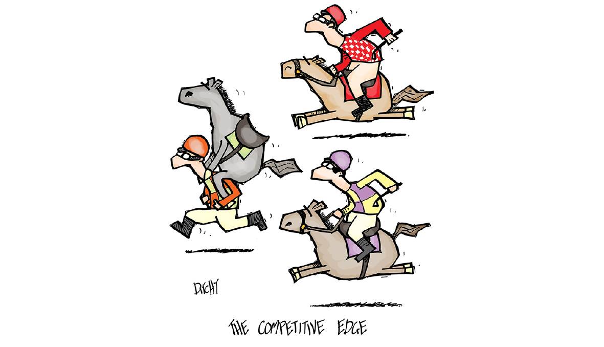 The Courier cartoonist Ditchy takes a look at how The Hotham might play out this Thursday at the Ballarat Turf Club.