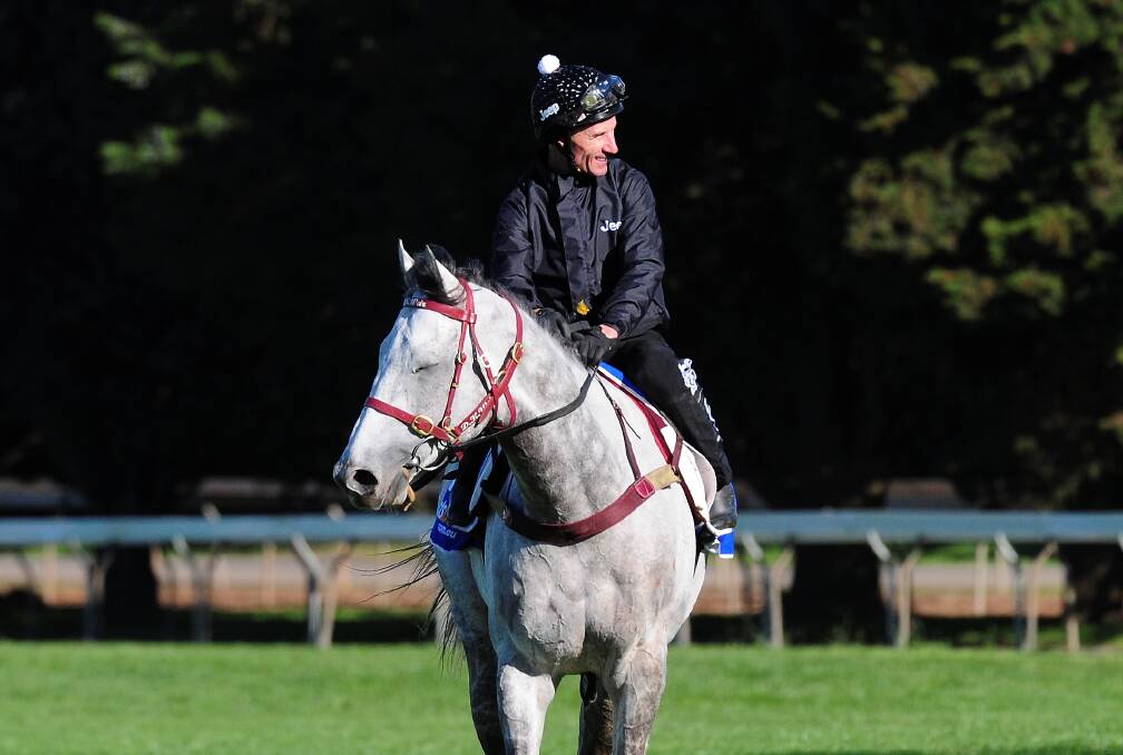 STAR: Glen Boss is pictured on Puissance de Lune back in 2013. That horse is sire of both Southern Moon and Moonlight Maid.