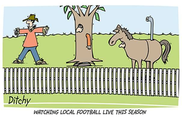 CROWD RESTRICTIONS?" Ditchy's view of how football might look if spectator restrictions are imposed during local matches due to COVID-19.