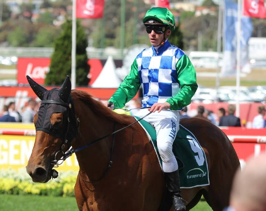 SUSPENDED: Ben Melham is pictured on Mitch Freedman-trained Moonlight Maid after her second placing on Saturday. Picture: Vin Lowe - Racehorses Australia.