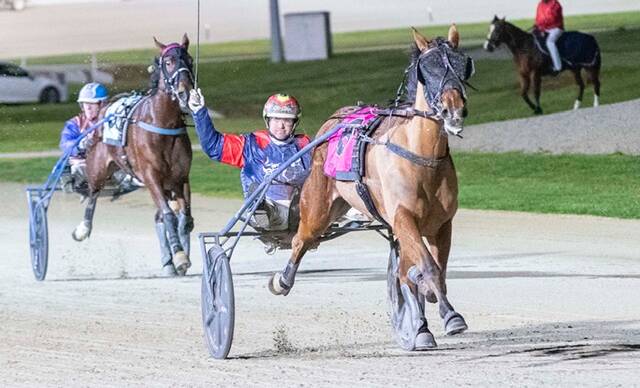 SALUTE: Glen Craven heads to victory behind Im Ready Jet in the group 1 final for the two-year-old trotting fillies on Saturday night.