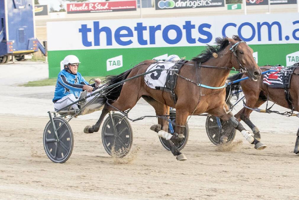 BALLARAT BOUND?: Star Galleria, pictured here winning at Melton back in 2019, is a chance at heading to Ballarat for the Pacing Cup on January 23. Picture: Stuart McCormick.