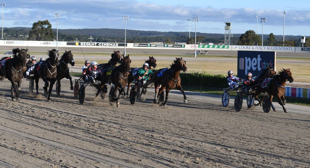 GOOD RUN: Sky Petite, far right, grabs third place in a heat of the Inter Dominion Trotting Championship on Tuesday. Picture: Lachlan Bence.