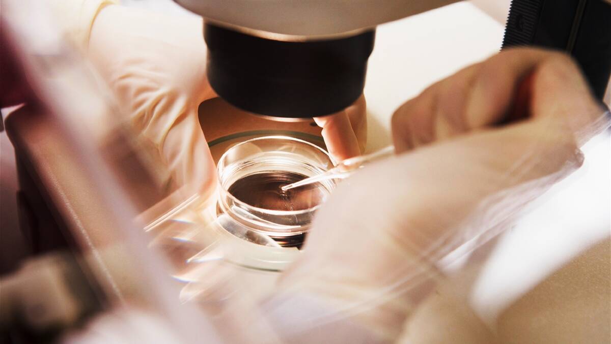 Creation of an embryo during IVF procedure.