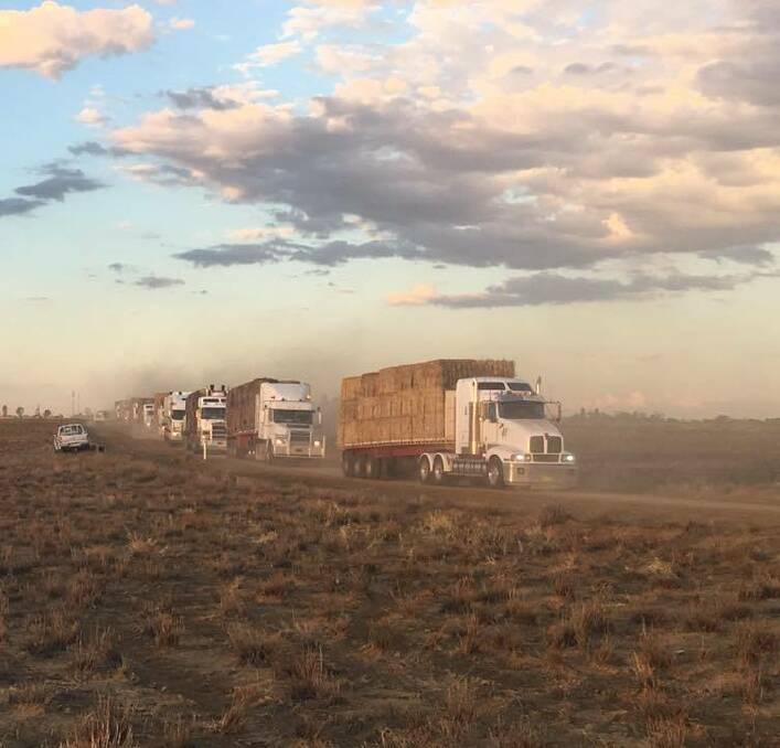 DELIVERY: Burrumbuttock Hay Runners distribute much-needed donated hay to to farmers within a 600km radius of Ilfracombe, Queensland.