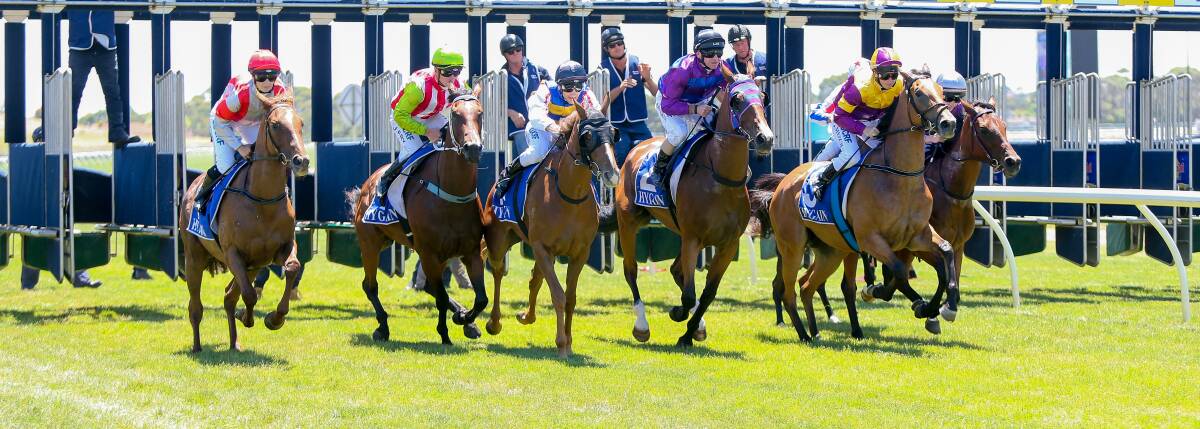 STANDARD, SPORT, WARRNAMBOOL RACES FILE SHOTS 190122 Pictured - Start of the 2000m maiden race at the Warrnambool races. Picture: Christine Ansorge
