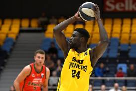 Majok Majok dominated for the Miners with 17 points and 14 rebounds. Picture by Adam Trafford