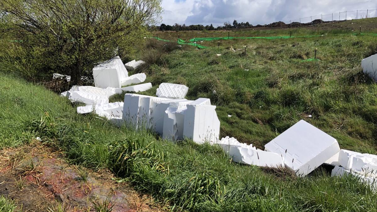 Just some of the polystyrene which is littering waterways near Delacombe. Picture: Greg Gliddon