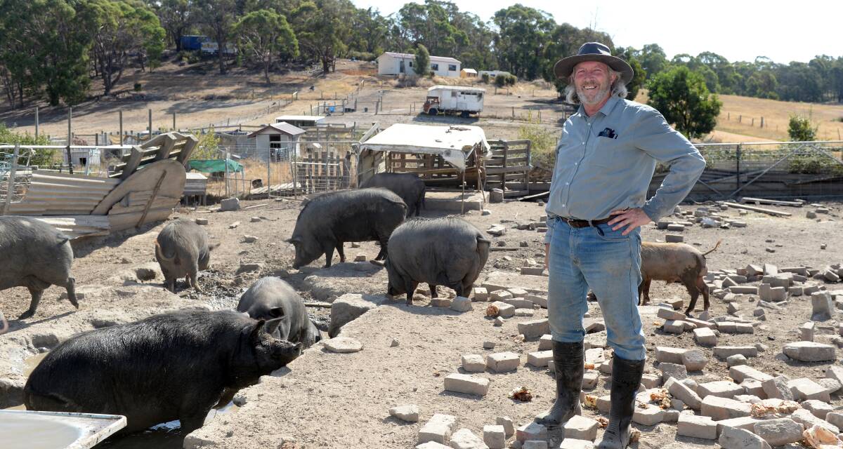 BACK HOME: Smythesdale farmer John Murphy is happy that most of his stolen pigs have been recovered. Picture: Kate Healy