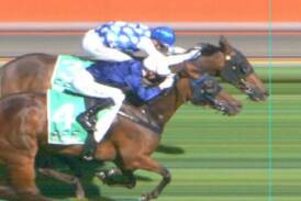 Excelleration holds off The Map to win the Adelaide Cup. Picture TAB/X