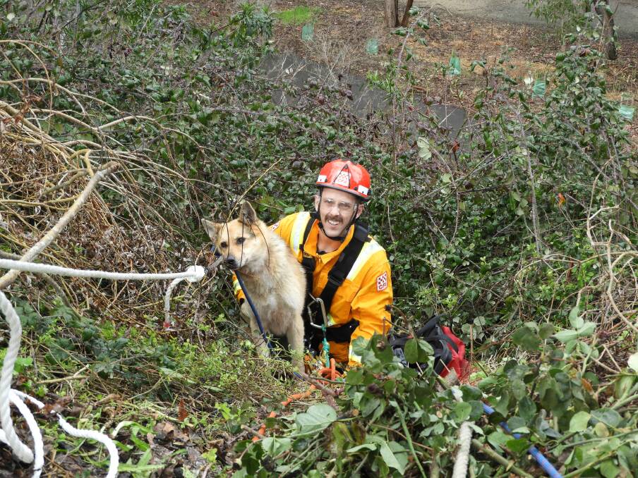 Senior station officer Ben Townsend performed the rescue of the dog that jumped off a cliff in Redan on Wednesday. Picture: CFA
