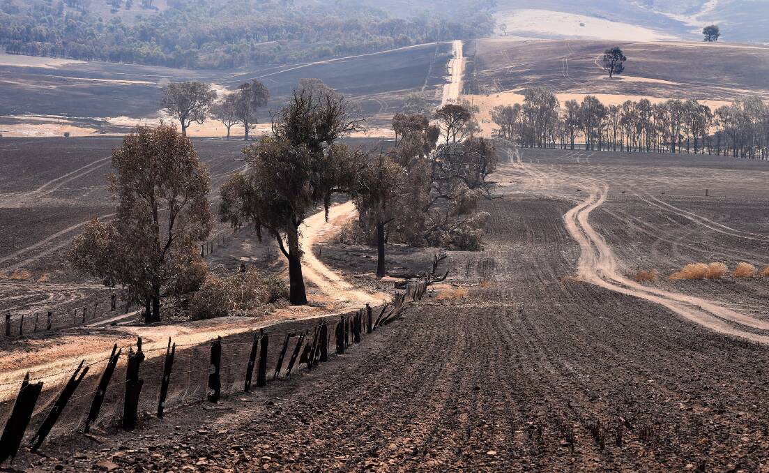 Over 90 per cent of Rod and Rebecca McErvale's property near Lexton was burned including fences. Picture: Adam Trafford