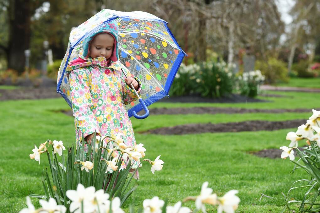 Keep your umbrella close by all weekend as a fierce cold front is predicted to hit VIctoria.