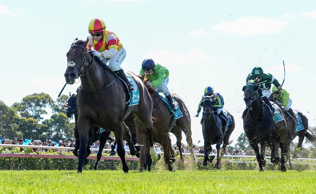 South Australian Derby winner Coco Sun could be aiming for more group one success at the Queensland Oaks. Picture by George Sal/Racing Photos