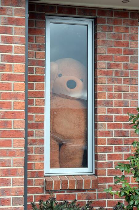 Teddy bears are appearing in windows all around town. Like this one in Winter Valley. Picture: Kate Healy