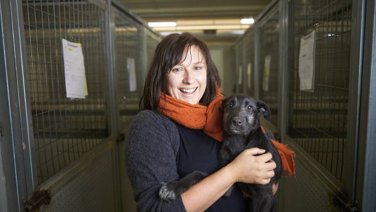 The Ballarat Animal Shelter is annually seeing 3000 animals being brought in causing enormous strain on facilities and staff. Picture: Luka Kauzlaric
