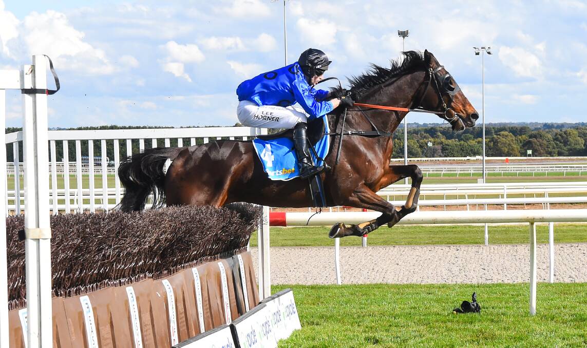 Brungle Bertie ridden by Lee Horner jumps a steeple on the way to winning the Ciaron Maher Racing Steeplechase at Sportsbet-Ballarat Racecourse on August 28, 2022 in Ballarat, Australia. (Photo by Pat Scala/Racing Photos)