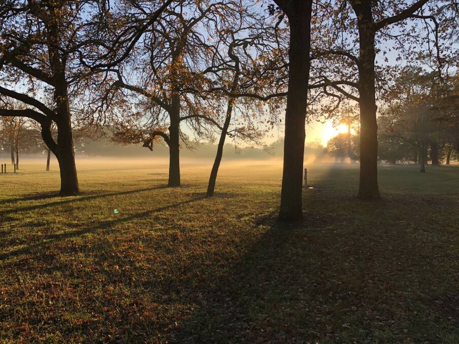 North Gardens was looking a picture this morning as the sun came up over a frosty Ballarat. Picture: Ben Schueddekopf