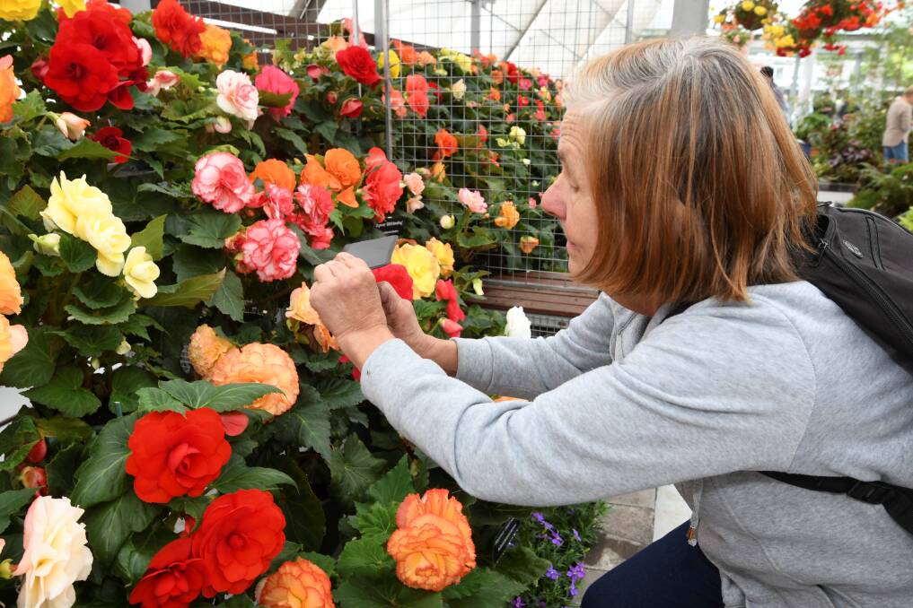 The Begonia display at the Botanical Gardens will return in 2021.