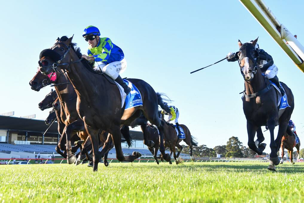 The Pat Kearney-trained Yellowbrick Road wins at Sandown in February. Picture Pat Scala/Racing Photos