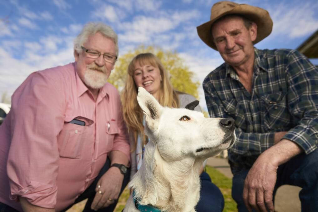 TRIBULATIONS: Elders Insurance's Steven Crane, dog trainer Jemima Christie and Dean Recreation Reserve committee president Brian Maher with Zee the dog.