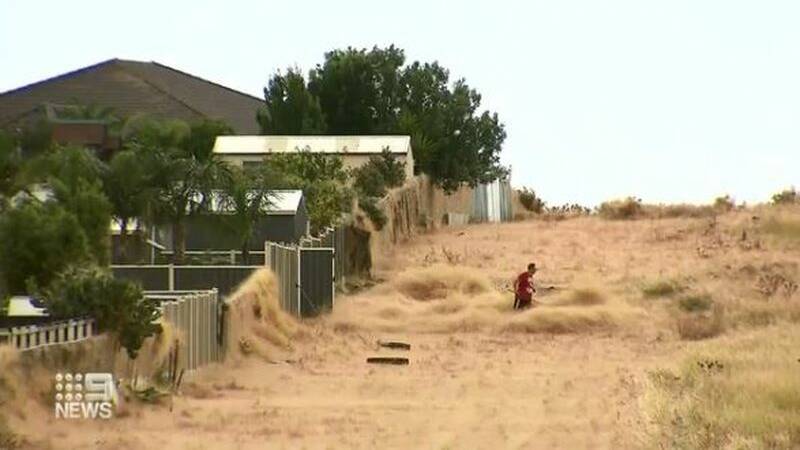 The tumbleweed crossed the Ballarat train line causing all train services to be cancelled on Monday. Source: Channel 9