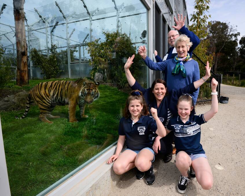 BIG CATS: Wendouree MP Juliana Addison with children Sophia (left) and Jo and parents Trudie and Les Dickinson meet Satu at the Ballarat Wildlife Park on Friday. Picture: Adam Trafford.