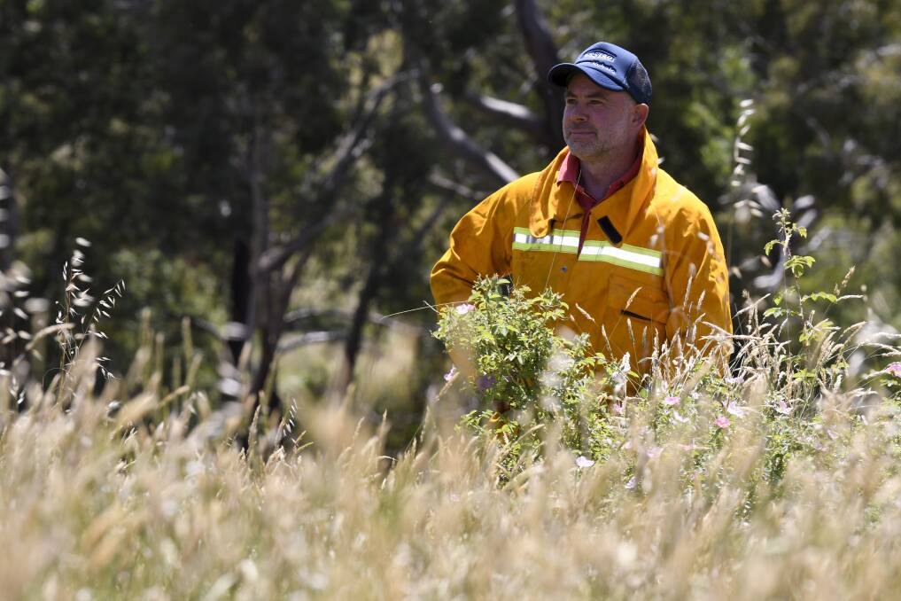 Moorabool River over run with weeds that are big fire risk for the residents of Morrisons
Morrisons CFA Captain Nigel Parkinson. Picture: Lachlan Bence