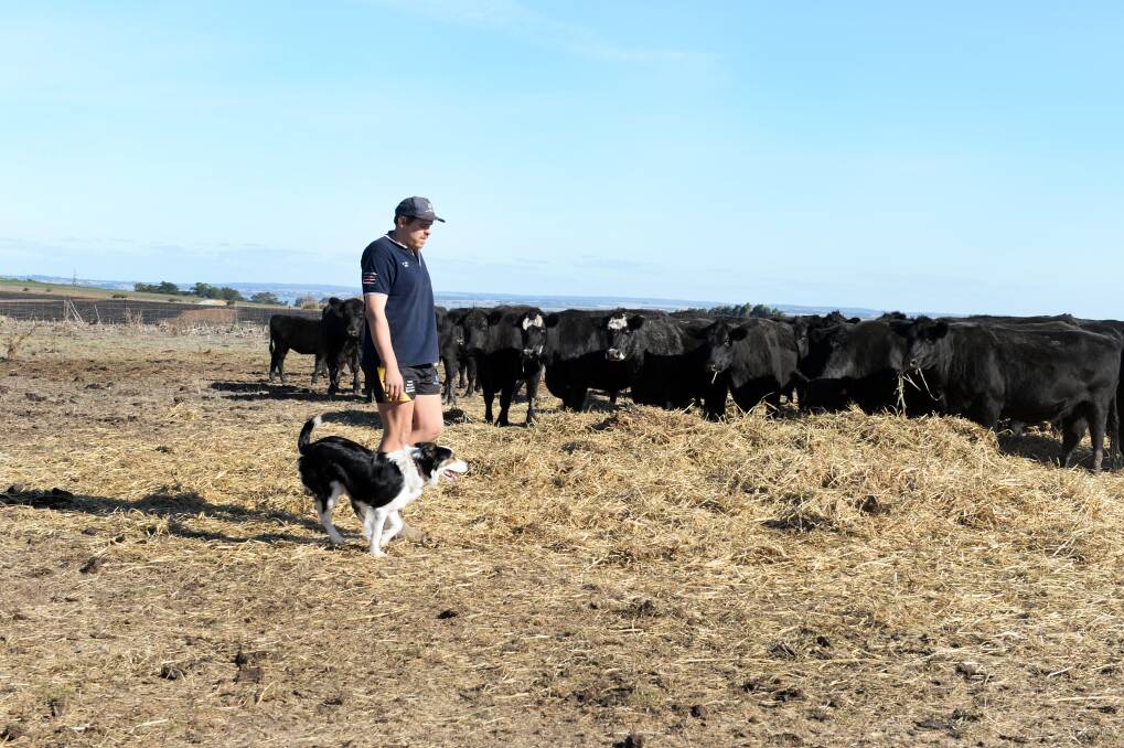 Farmer Justin Hobson says the next few weeks are a critical time for farmers with the urgent need for rain before winter. Picture: Kate Healy
