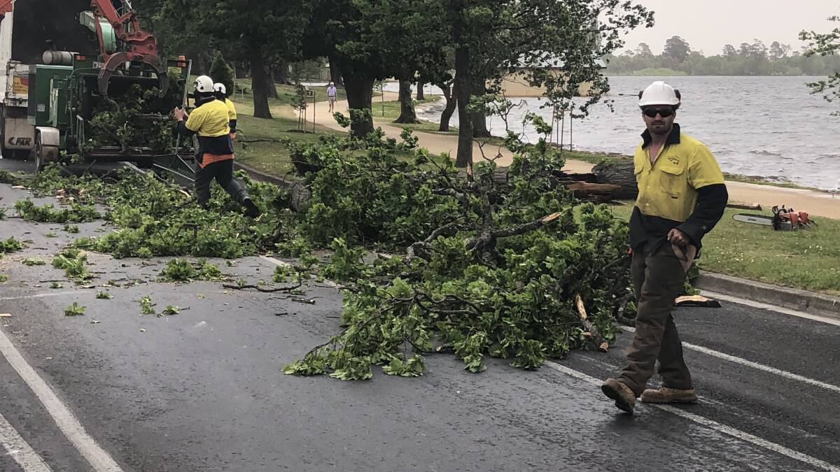 Trees crash as winds reach more than 90km/h, but cool change is here