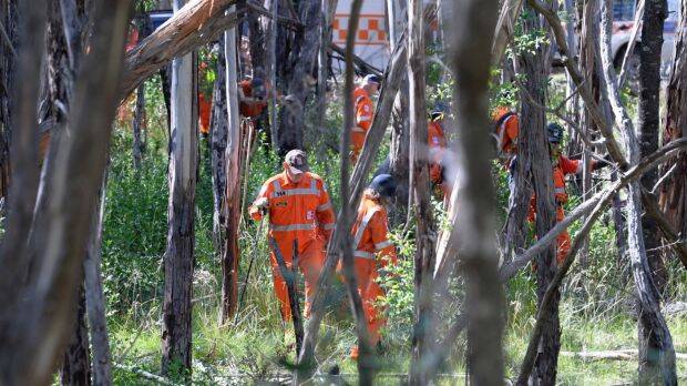 SES volunteers search the bushland where Karen Ristevski's body was found. Picture: JUSTIN MCMANUS