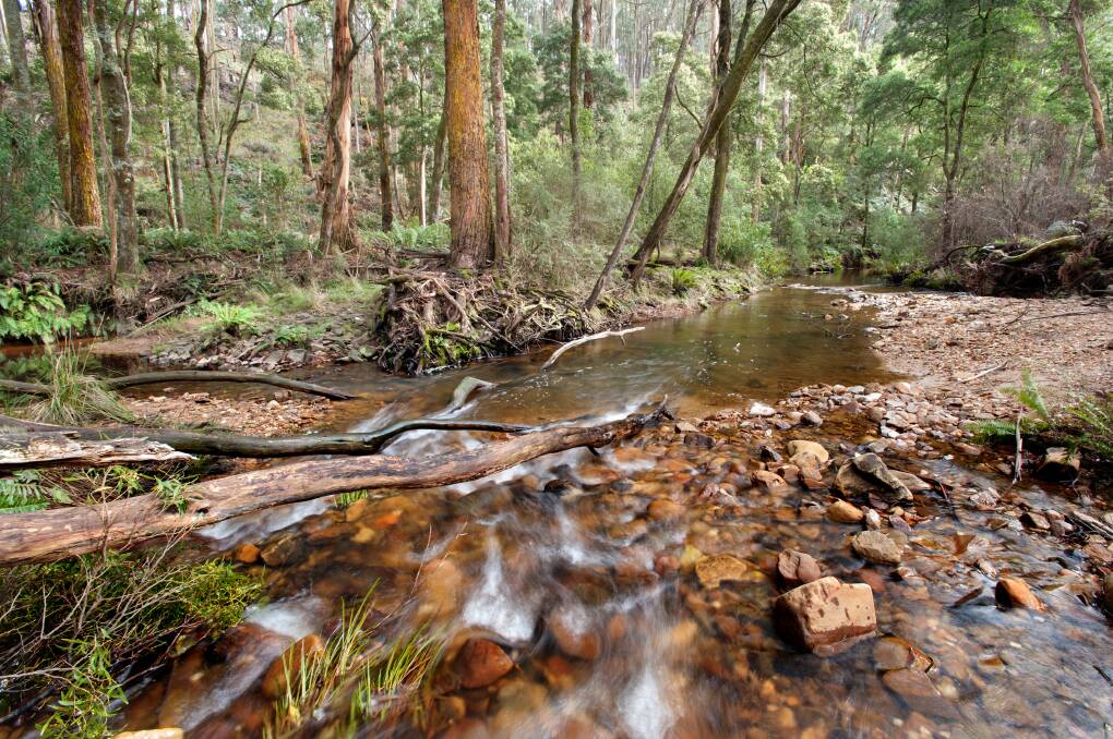 The Wombat Forest with the Lerderderg River flowing through close to Blackwood. Photos: Sandy Scheltema