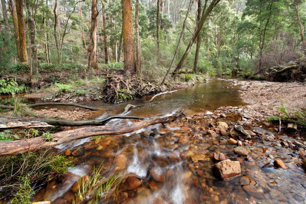 The Wombat Forest with the Lerderderg River flowing through close to Blackwood. Photo: Sandy Scheltema
