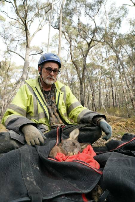 'Preventable threat to our vulnerable wildlife': new calls to fence off mine shafts