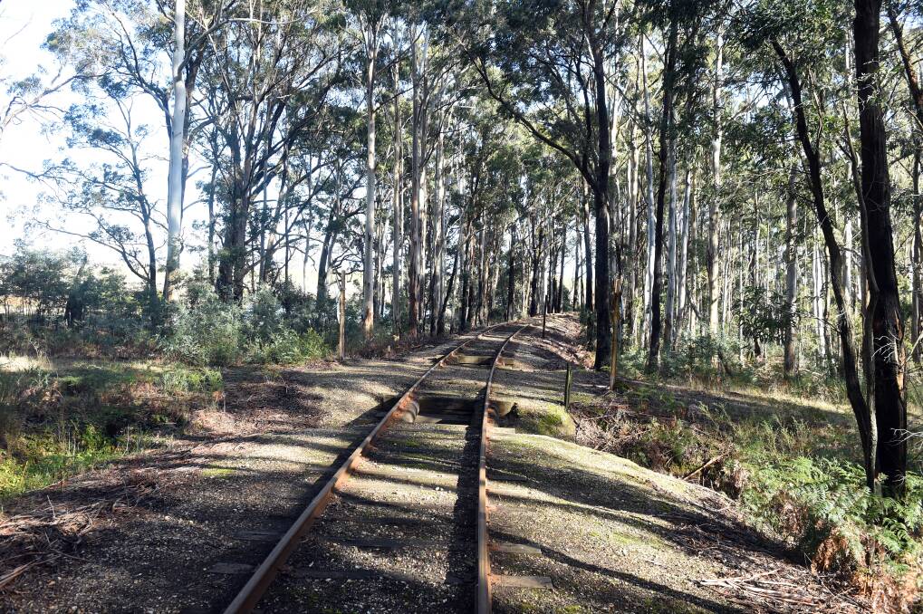 IN NATURE: The old railway is maintained by the Daylesford Spa Country Railway who runs trains along it every weekend. Photo: Kate Healy
