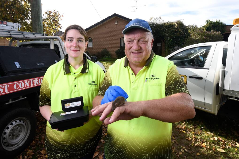 TEAM: Lindsay and Dave Ward of RID Pest Control with a mouse. Photo: Adam Trafford