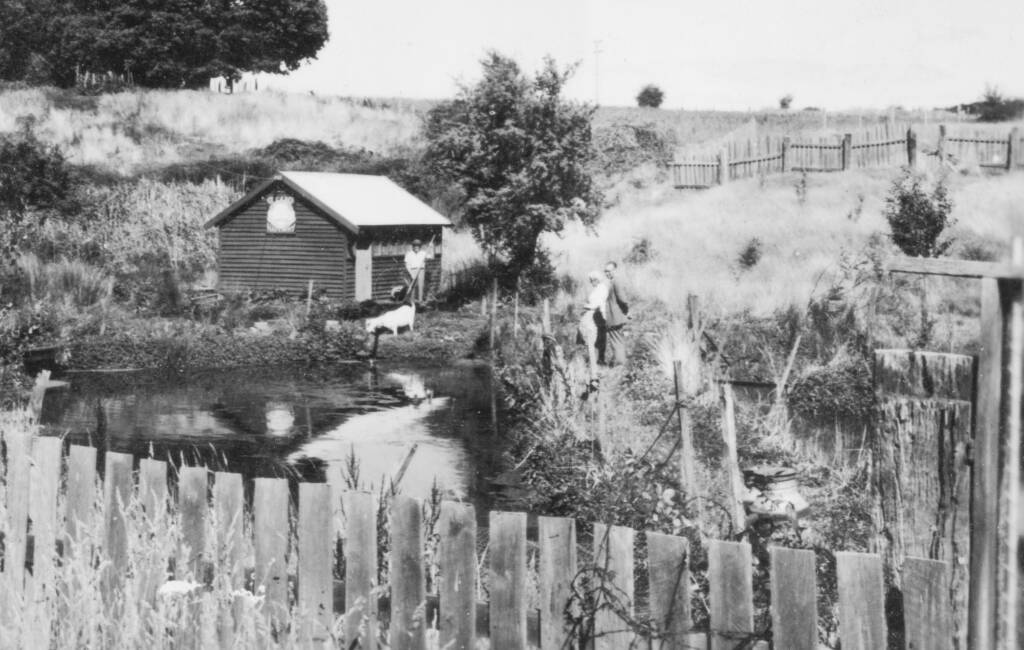RECORDS: The trout hatchery at its prime. Photo: Janet McDonald/ Daylesford and District Historical Society