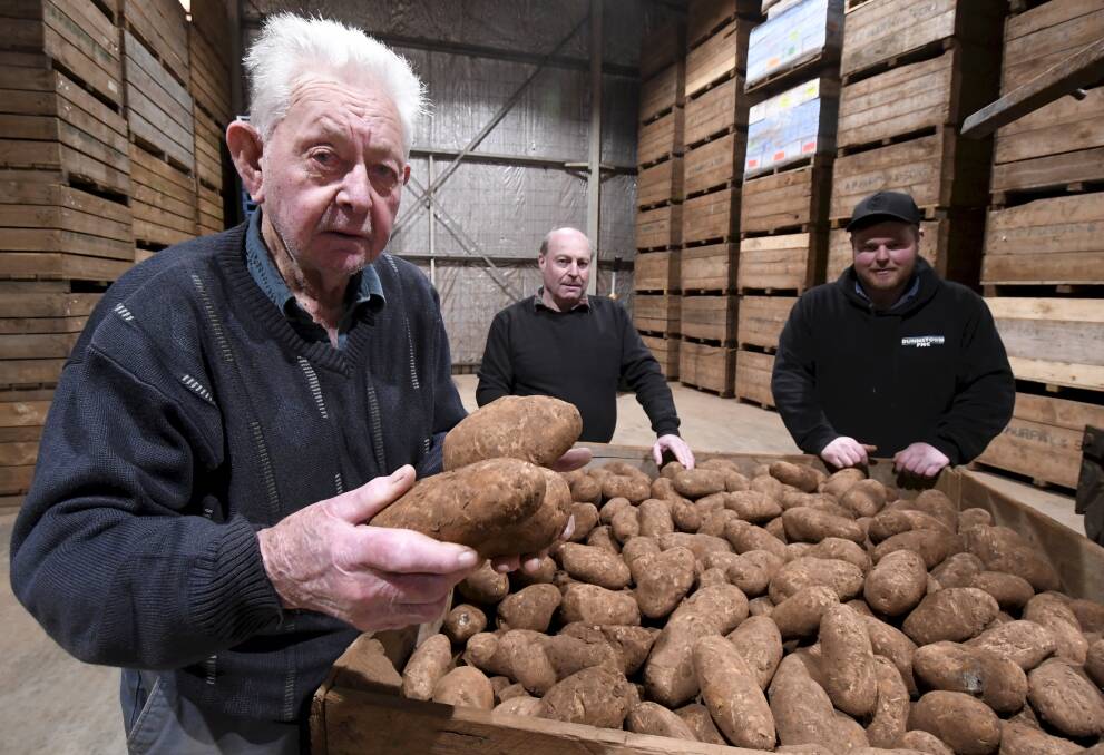 FAMILY: Leo Murphy, Greg Murphy and Callum Murphy are three generations of potato farmers. Photo: Lachlan Bence