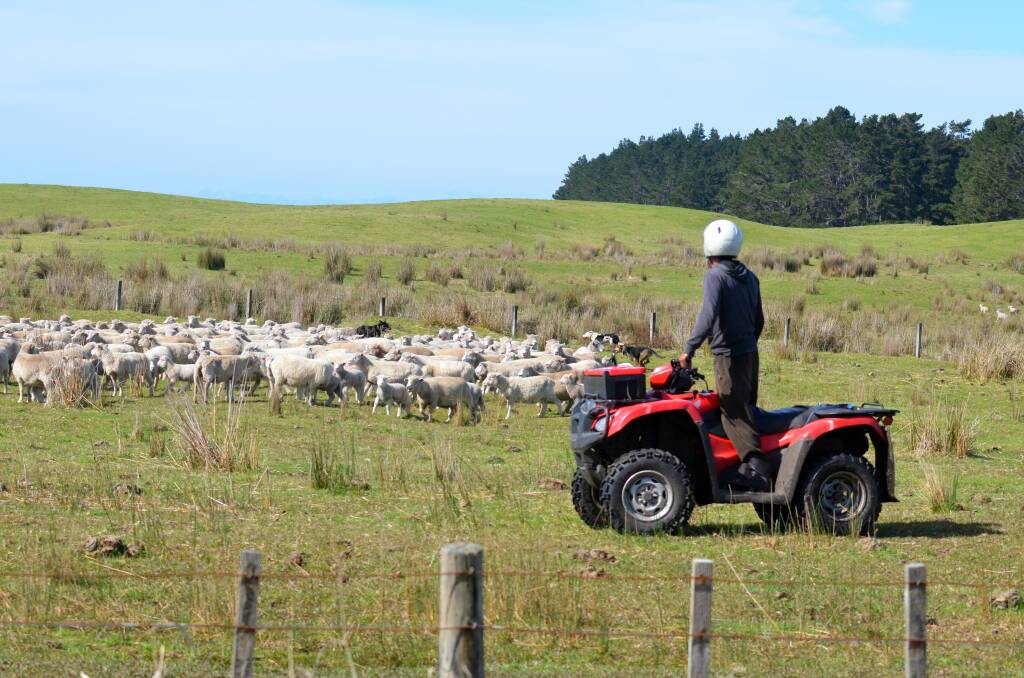 PROTECTION NEEDED: Quad bike rollovers are the leading cause of deaths on Australian farms. Photo: Stock image