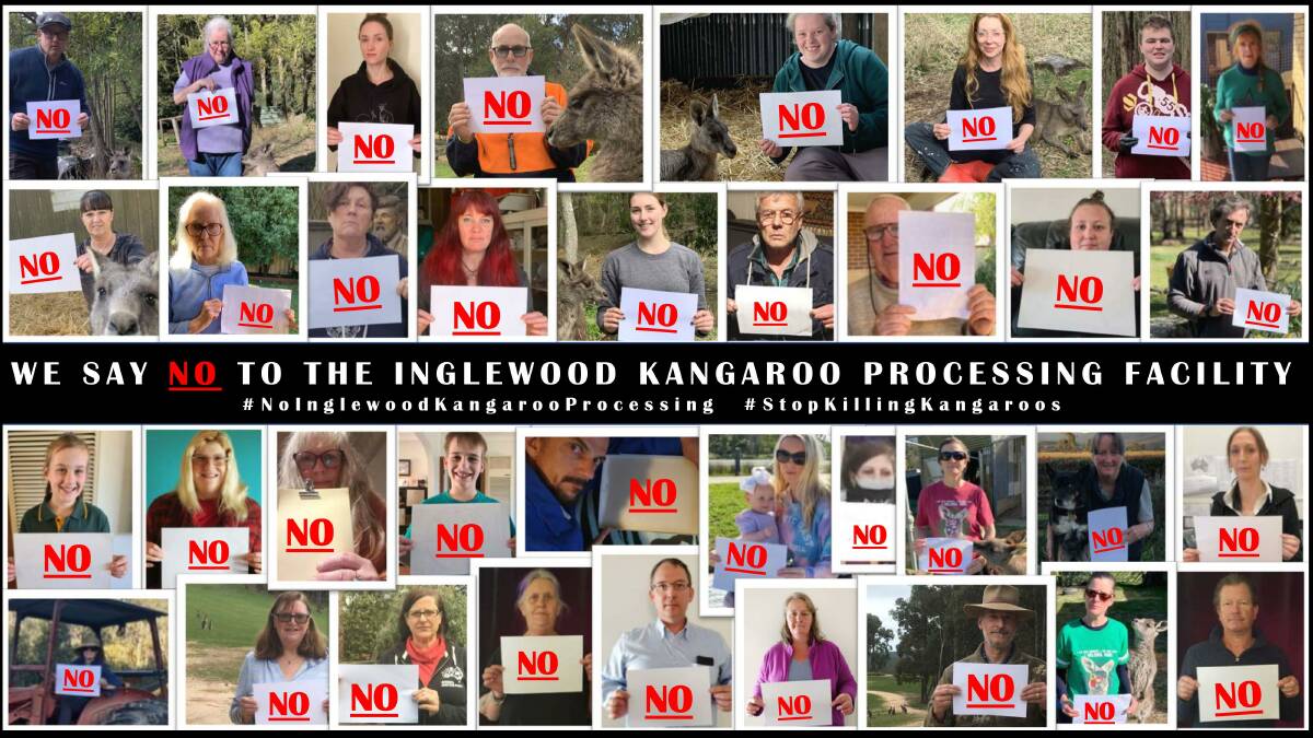 CAMPAIGN: Dozens of people have joined the right to save kangaroos in Victoria. 