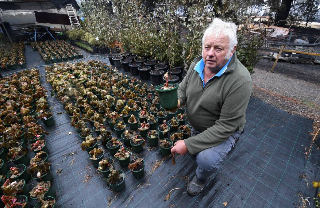 LOSS: Kevin Moneghetti runs a wholesale nursery business but lost a lot of stock due to the fires. Photo: Lachlan Bence