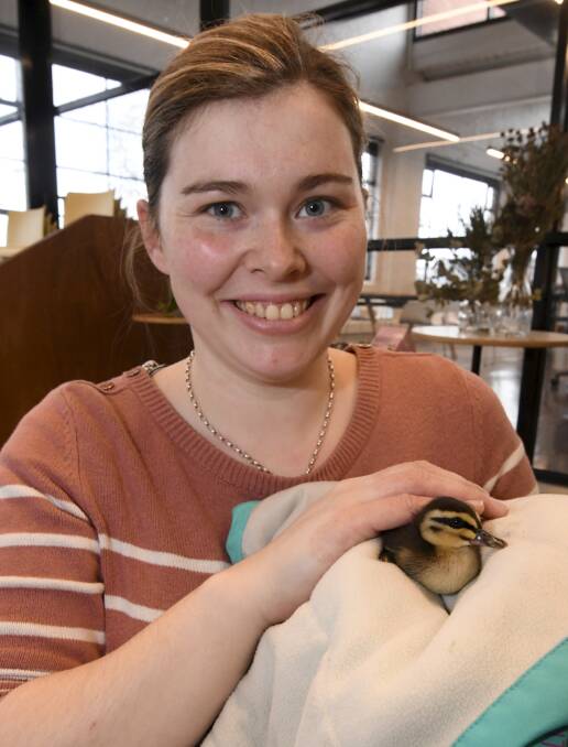 HAPPY ENDING: Meg Boschert from the Workshop Cafe helped to save the ducklings. Photo: Lachlan Bence