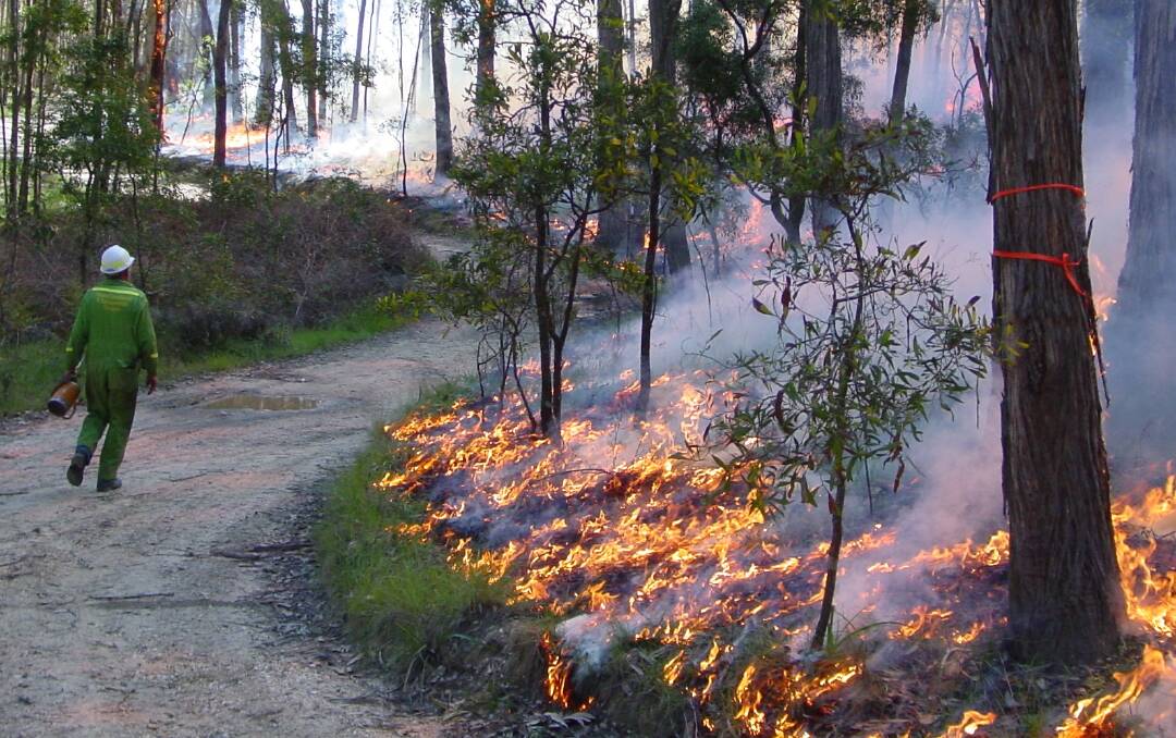Forest Fire Management Victoria undertaking a planned burn in Ballarat some years ago. Photo: File