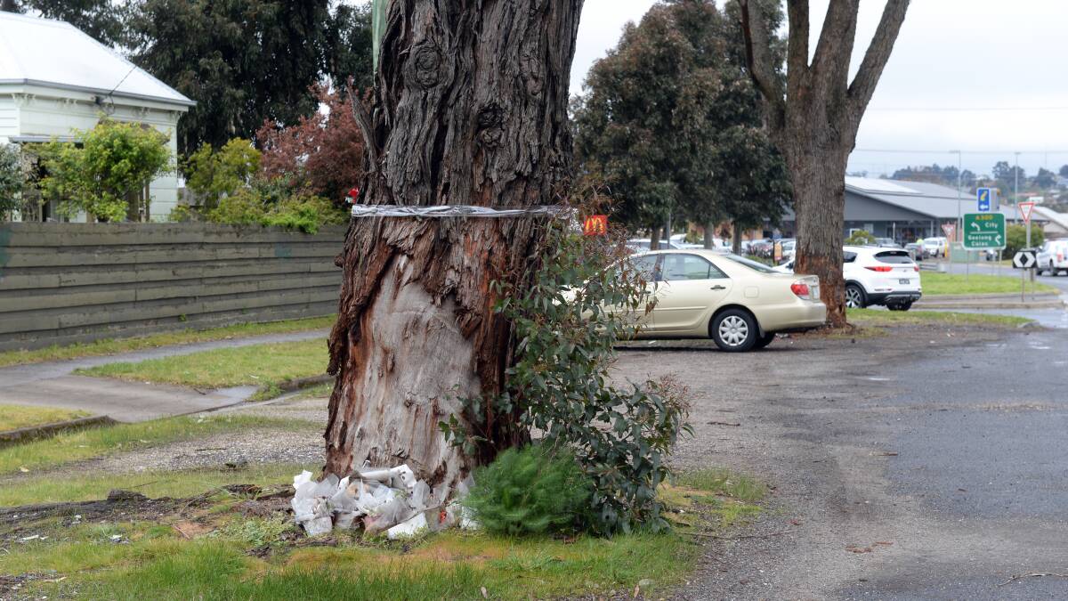 Plans to remove trees involved in separate serious crashes