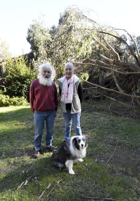 Ken and Gillian Turner with Pearl the dog. 