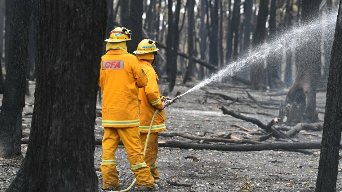 Improved response to save wildlife in future bushfires