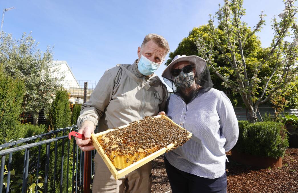 BUSY BEES: Beekeepers Scott Denno and Amanda Collins. Photo: Luke Hemer