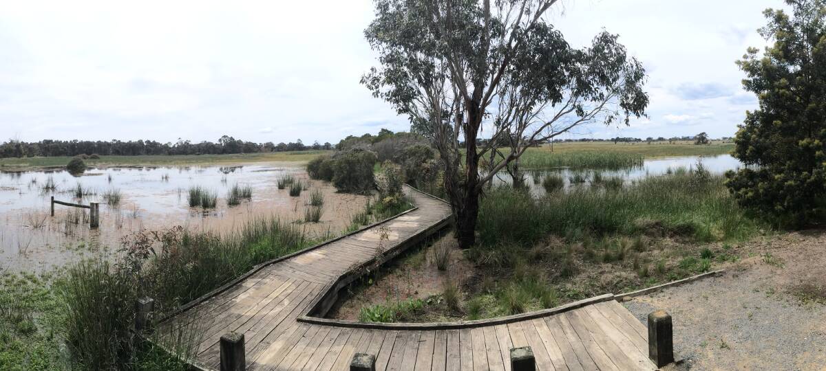 The Mullawallah Wetlands (formerly Winter Swamp), near Lucas is a Ballarat Environment Network biodiversity reserve, which is also cared for by Cardigan Windermere Landcare Group and other locals. Photo: Supplied