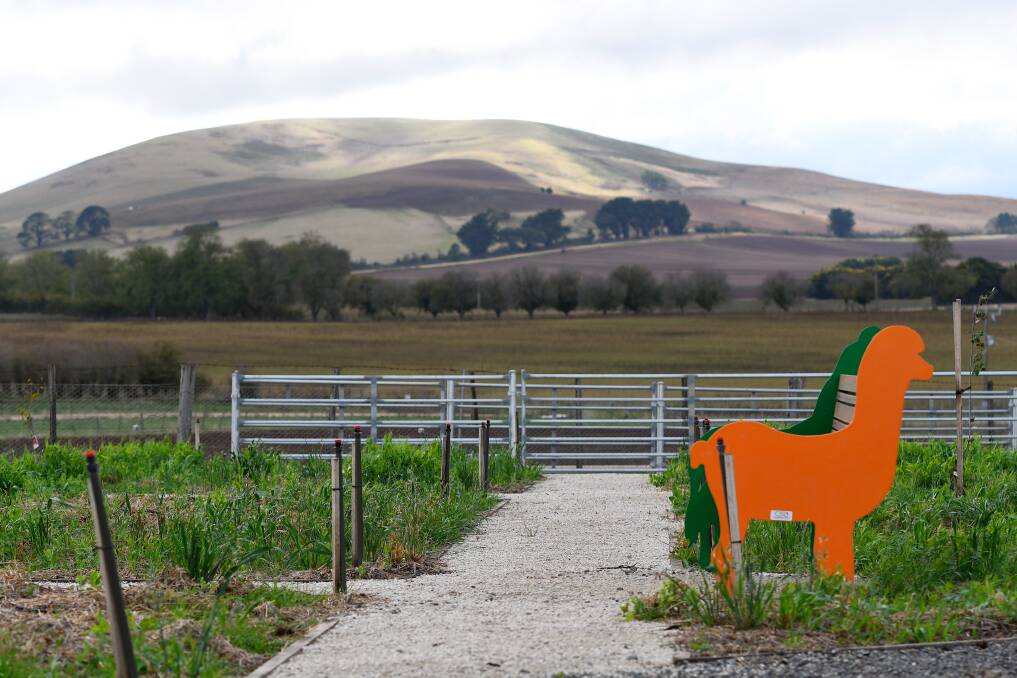 NATURE: The natural environment at and surrounding the farm is one of its most important factors. Photo: Adam Trafford