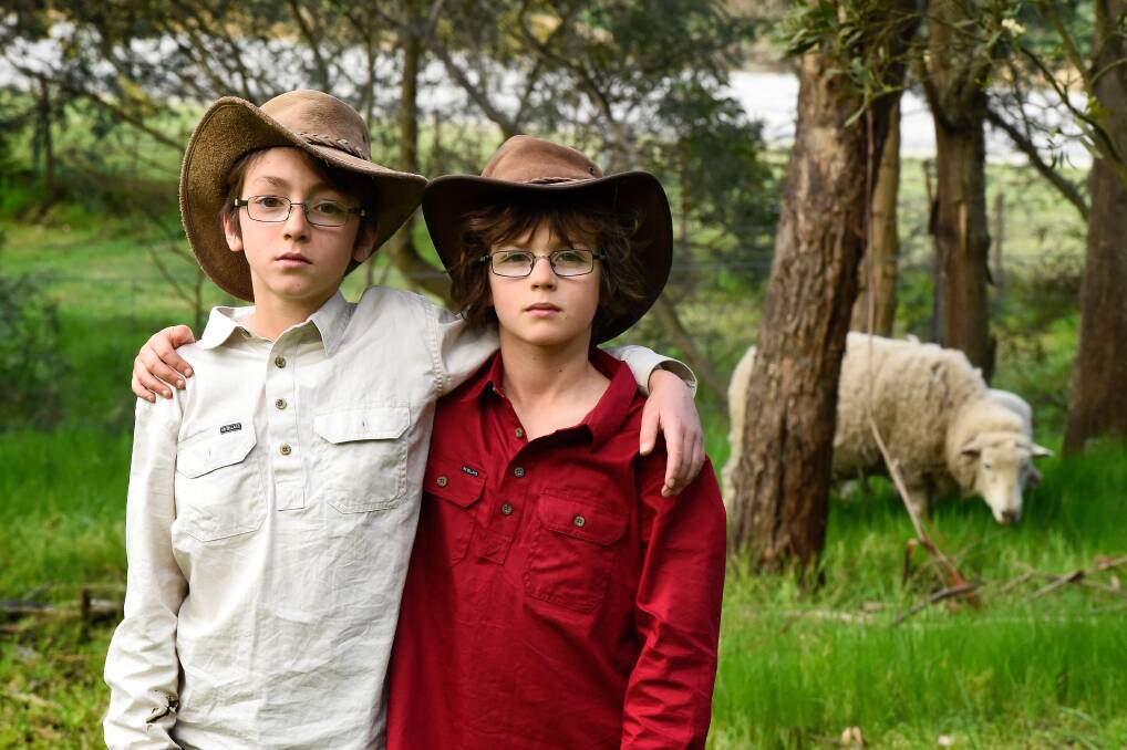 SAD: 11-year-old Joe and 10-year-old Will Belcher are upset at yet another attack on their sheep. Photo: Adam Trafford
